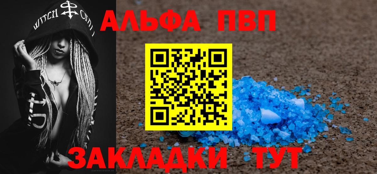 A-PVP СК КРИС Сыктывкар