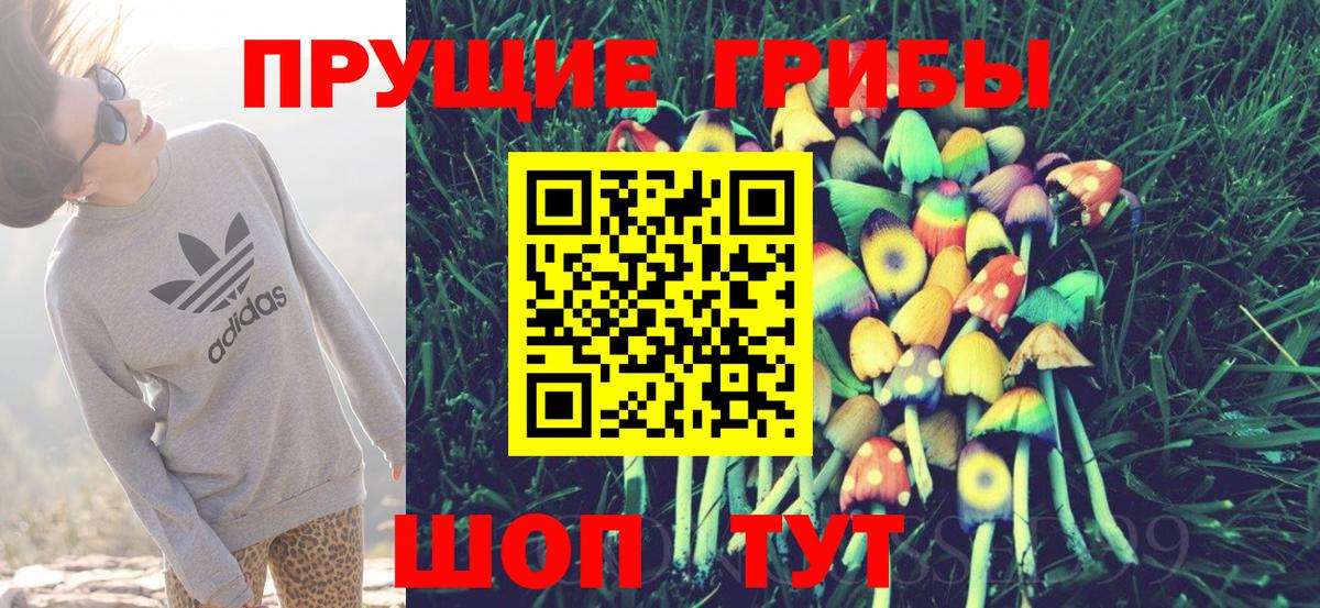 Сыктывкар  Галлюциногенные грибы Psilocybe  купить наркотик  Псилоцибиновые грибы Psilocybine cubensis  Вход с VPN 