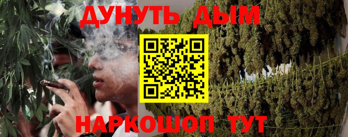 Сыктывкар  Бошки марихуана планчик  Марихуана марихуана  Вход с VPN 